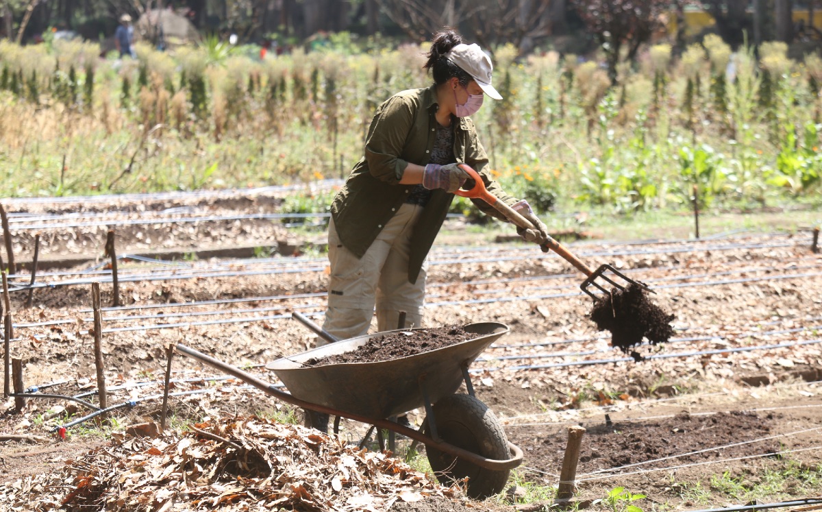 La agroecología tiene un enfoque sistémico, ya que no sólo se trata de prácticas técnicas, sino que también impulsa el trabajo colectivo. (Juan Carlos