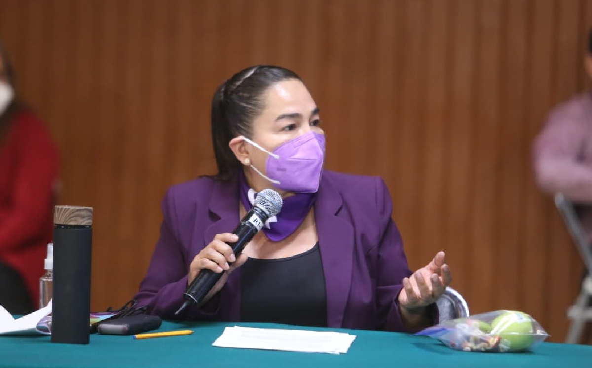 Verónica Juárez presentó un punto de acuerdo ante la Comisión Permanente. (Diputados del PRD)