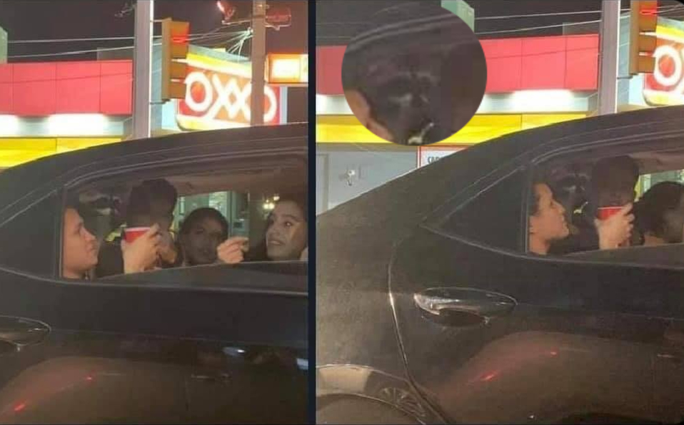 Mapache fue captado en un auto y difundida en Facebook.