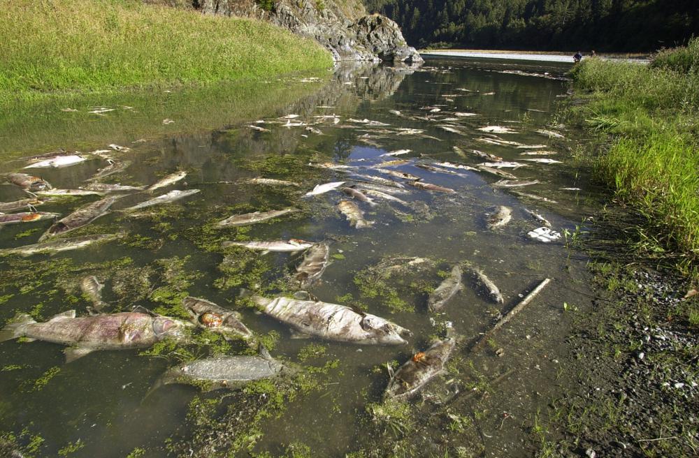 El panorama actual avista un cierre definitivo del suministro de agua en la región. / Fotografía: AP.