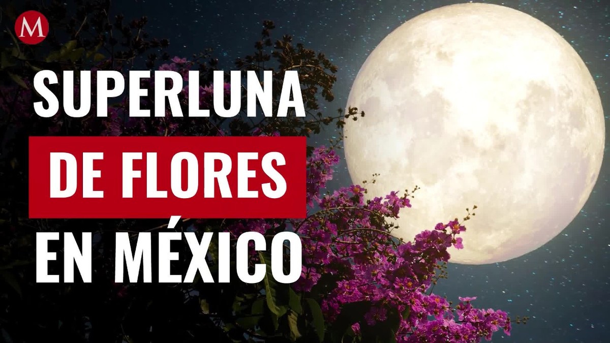 Superluna de flores mayo 2021: qué es y cómo ver en México