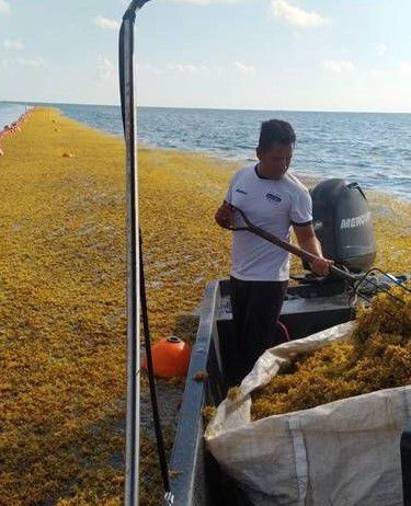 Barreras de contención en Tulum y Solidaridad fueron retiradas hoy tras presentar afectaciones.