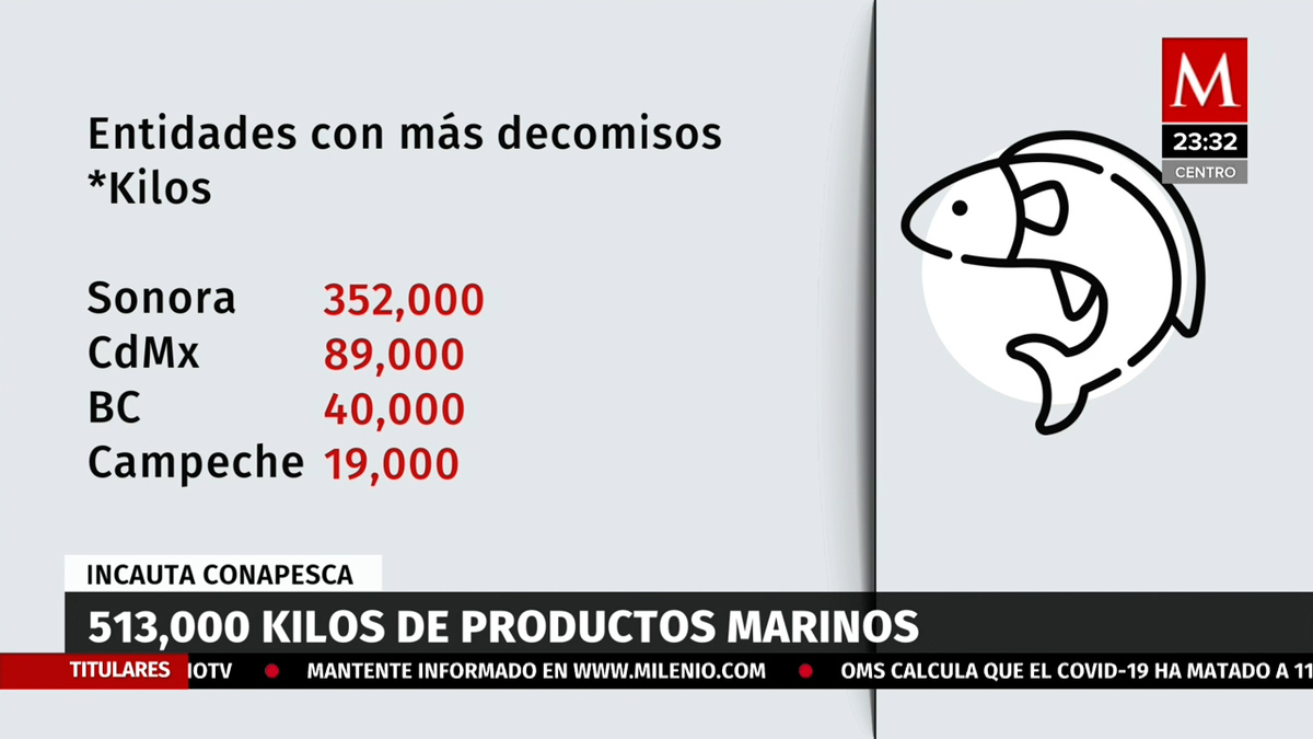 Conapesca incautó más de 513 mil kilos de producto marino ilegal
