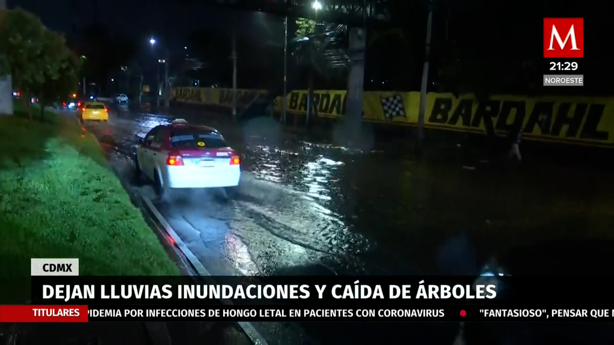 Lluvias en CdMx dejan inundaciones y árboles caídos al sur y poniente