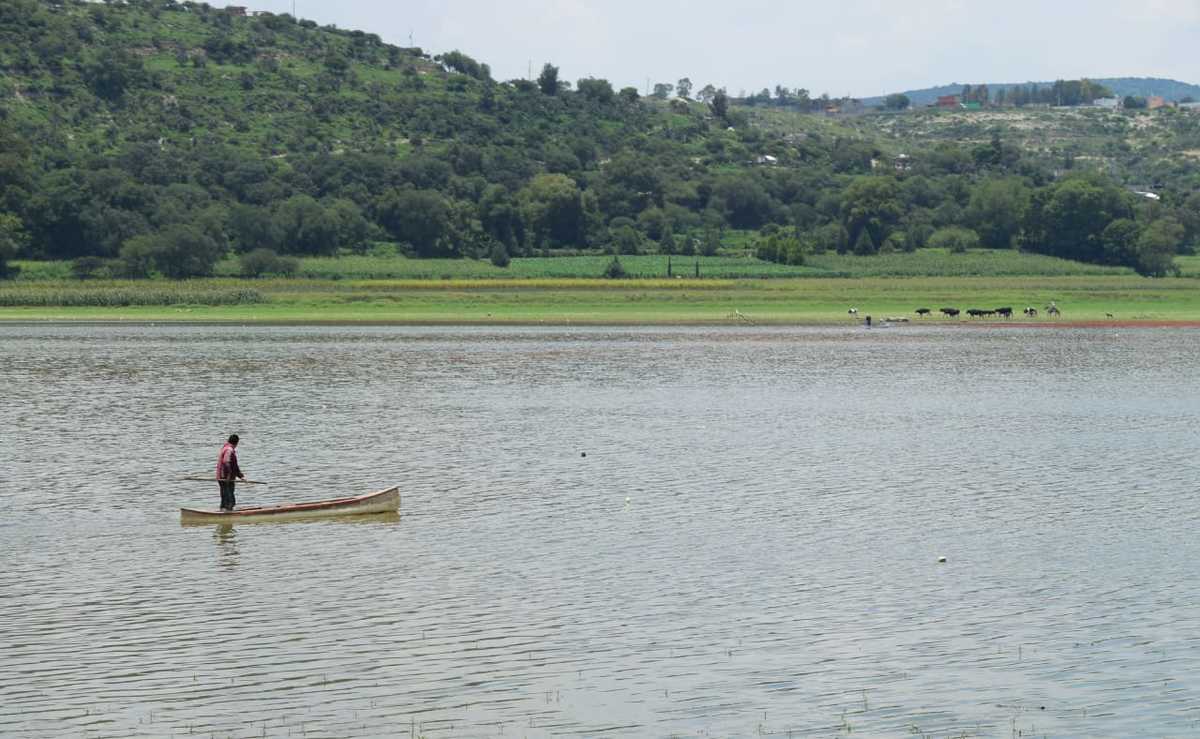 Presa La Requena en Tepeji del Río, Hidalgo. (Francisco Villeda)