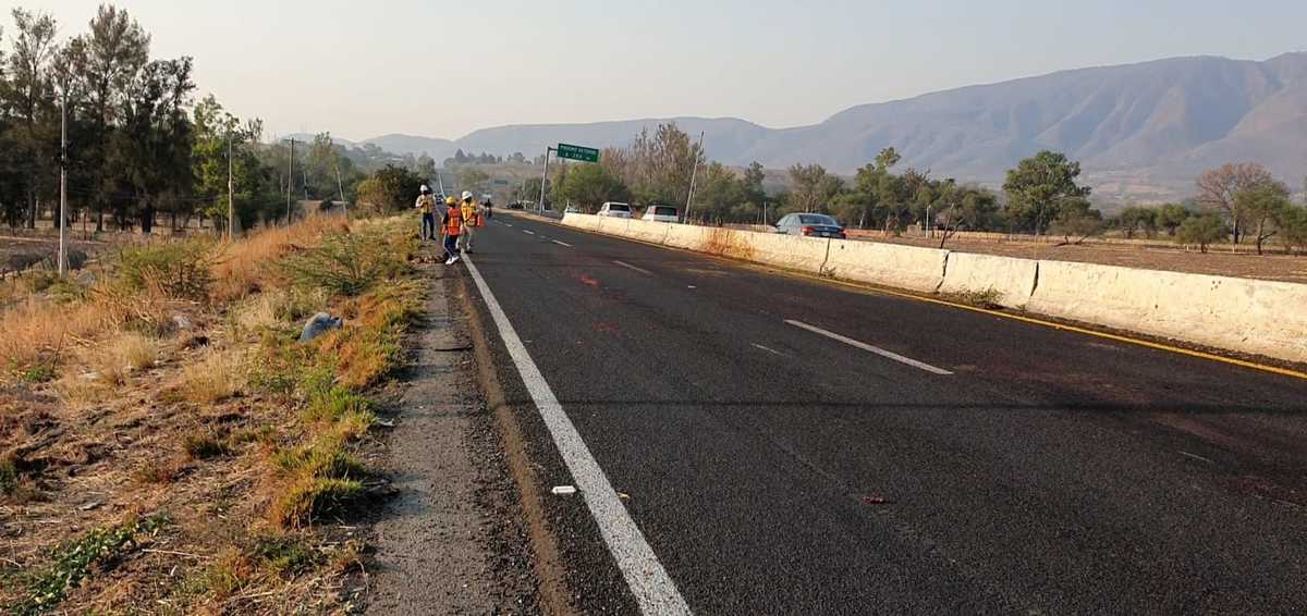 Caballo murió en Ixtlahuacán de los Membrillos sobre la carretera a Chapala (Juan Carlos Munguía)