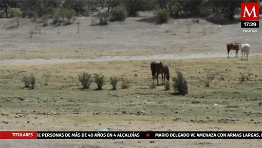 Fuerte sequía afecta Aguascalientes