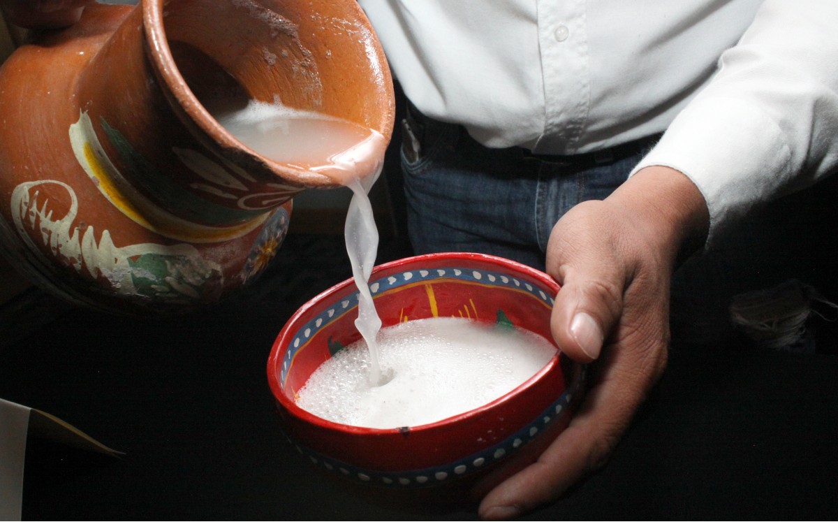 Te contamos los detalles del Pulque Fest 2021 (Shutterstock).
