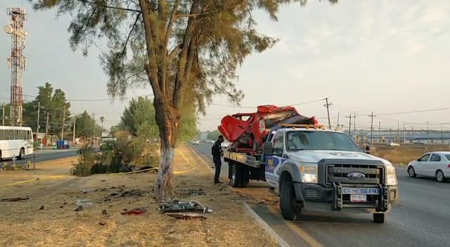 Se subió al camellón y golpeó en primera instancia con un pequeño árbol.