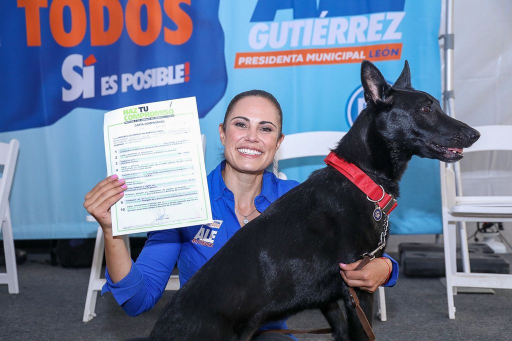 Ley protección animal/ Foto: Especial