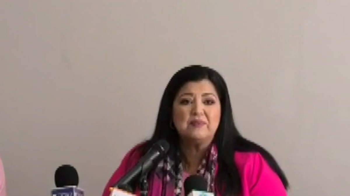 Rosa Elena Millán: Campaña fue con aportaciones mías