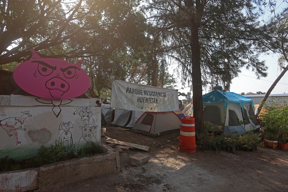 Los vecinos y los activistas que se han sumado a la lucha han plantado 800 árboles (Fernando Carranza)