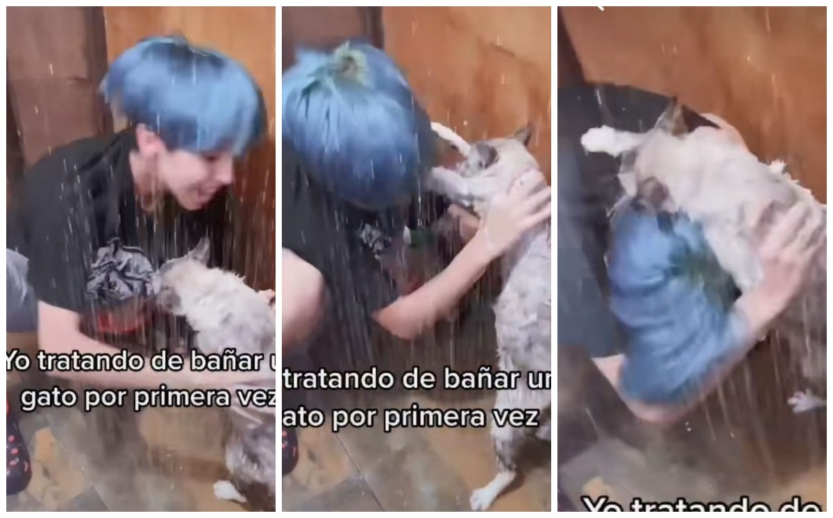 Joven es atacada por su gato (Captura)