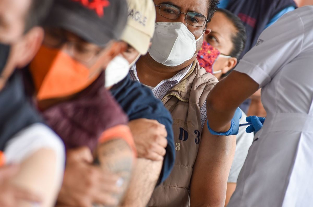 Más de 31.8 millones de vacunas se han aplicado en México. (Cuartoscuro)