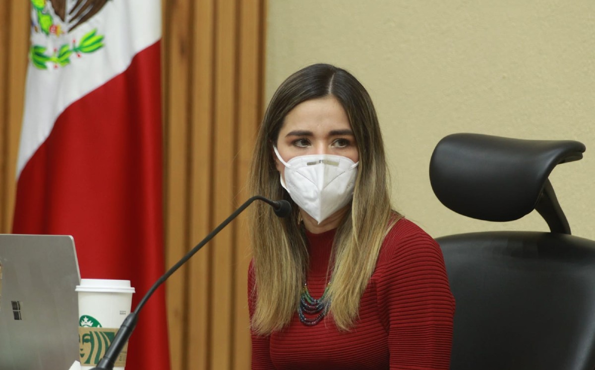 Dania Ravel agregó que se trata de un tema preocupante porque “nosotros tomamos esta determinación novedosa". | INE