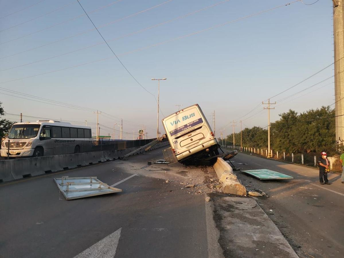 Foto: Francisco Zúñiga Esquivel