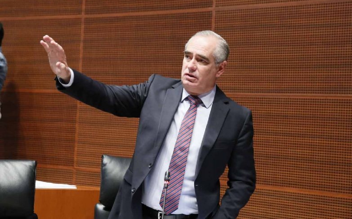 El legislador Julen Rementería del Puerto durante una sesión ordinaria. (PAN en el Senado)