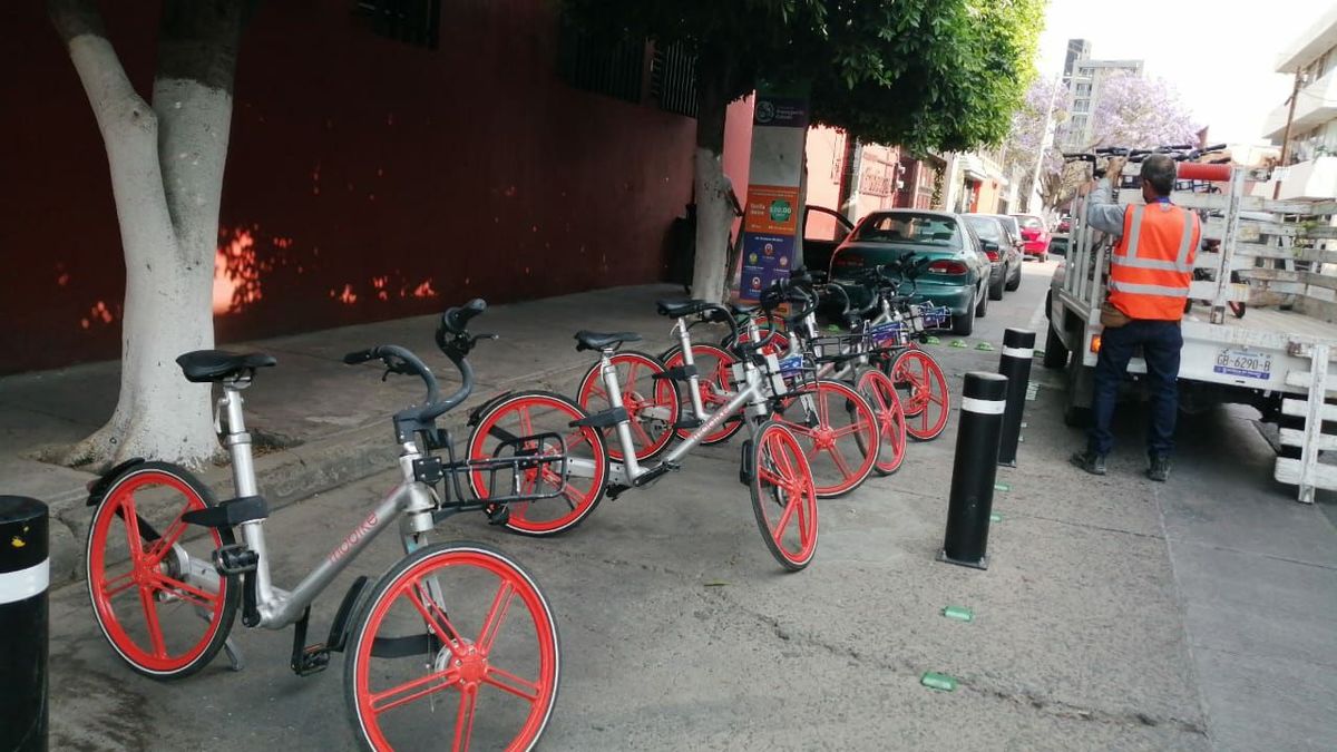Registran hasta 15 mil viajes en Bici Pública de León. ESPECIAL