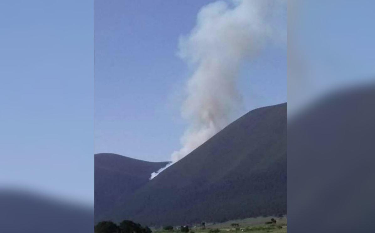 Reportan incendio en cerro de Galeana, Nuevo León. Foto: Especial.