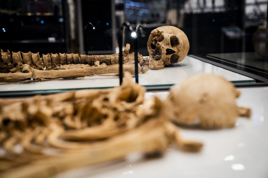Dos vikingos serán expuestos en un museo de Inglaterra | AFP