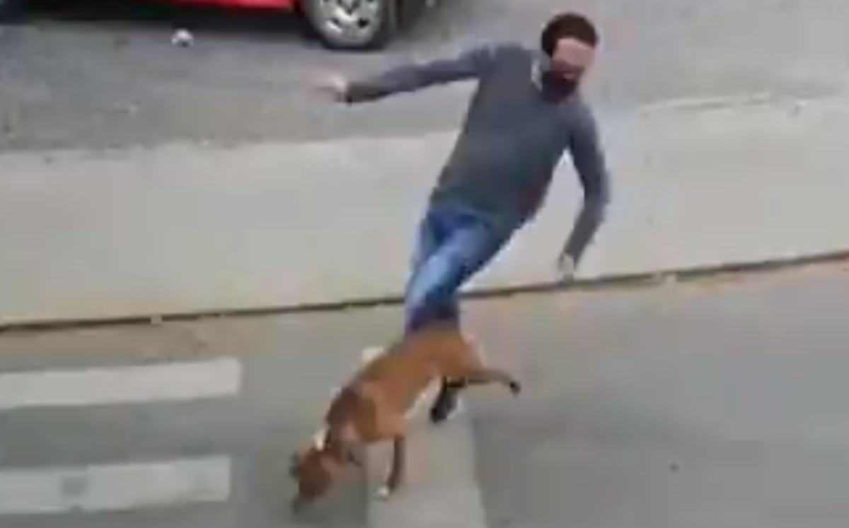 El suceso fue captado por una cámara de seguridad. (Captura)