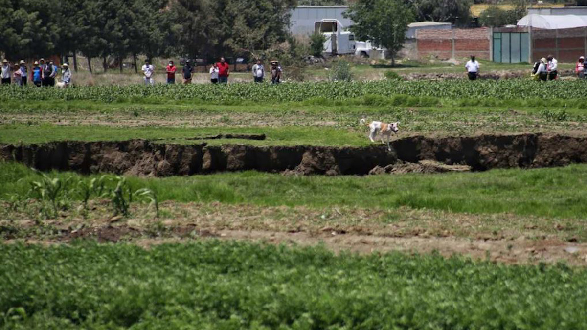 'Lomitos' que cayeron al socavón en Puebla siguen con vida; Dron los graba