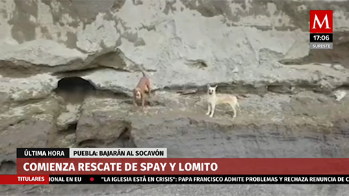 Comienza rescate de perritos atrapados en el socavón de Puebla