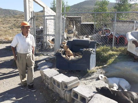 Anselmo vivía en la calle con sus seis perros, hasta que consiguió un espacio en un refugio animal (Elizabeth Hernández)