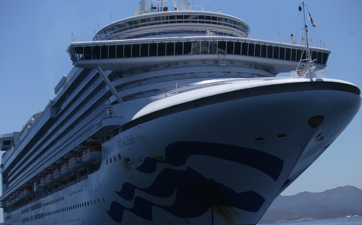 Los cruceros podrían dañar al tiburón ballena, una especie amenazada. (Juan Carlos Bautista)