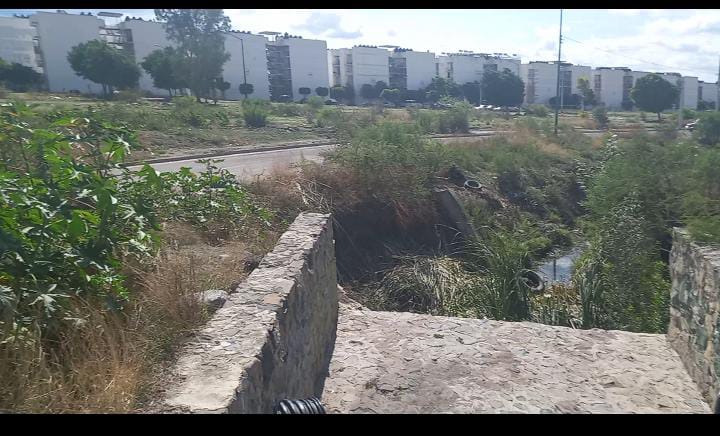 Denuncian falta de mantenimiento en Puente de la Cañada, en León