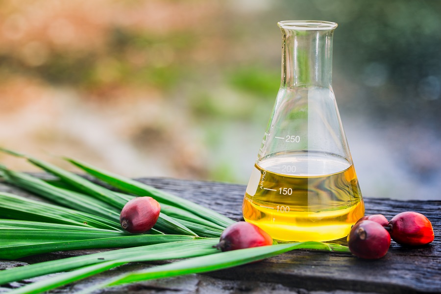 Aceite de palma en botellas de vidrio. (Shutterstock)