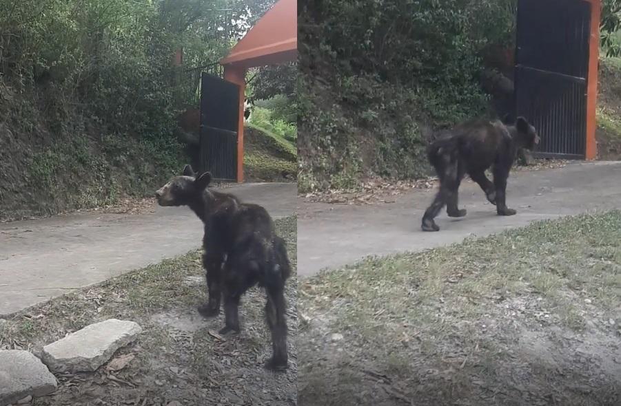 La zona del Ranchito se ubica frente del Yerbaniz, en el mencionado municipio. Foto: Especial