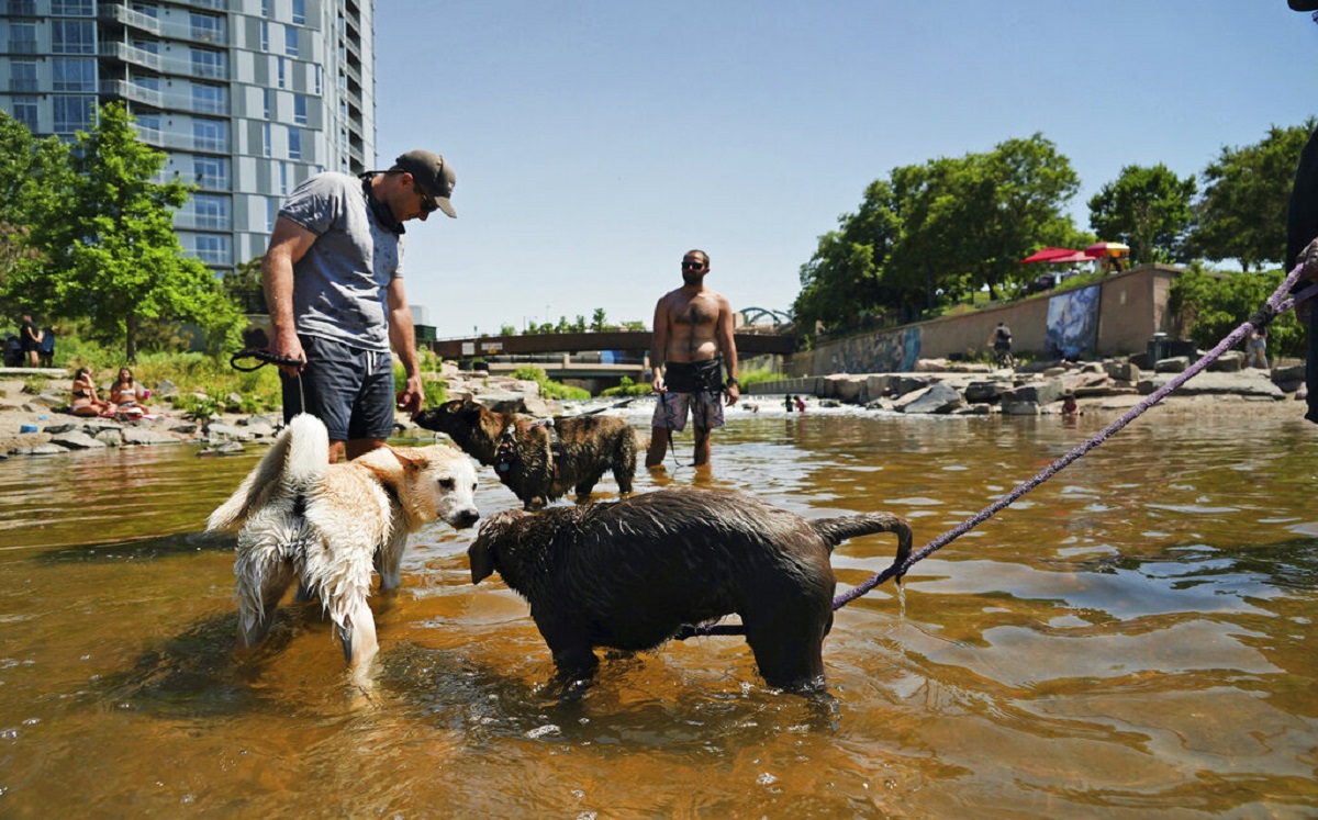 El pavimento podría provocar quemaduras durante la ola de calor en EU. (AP)