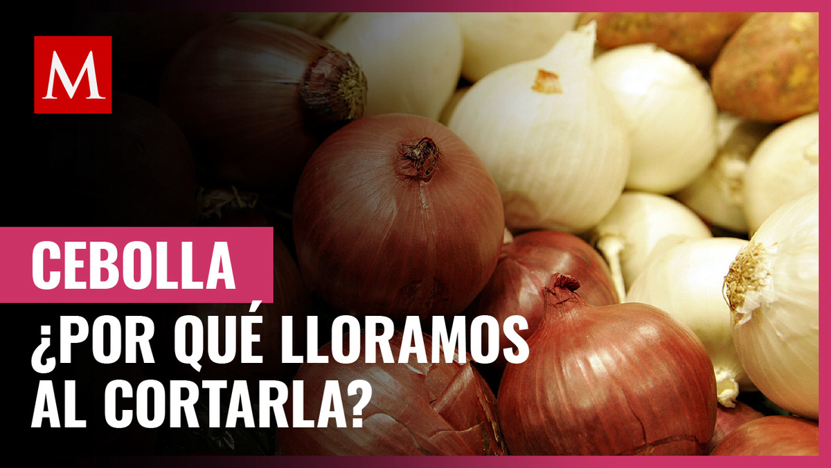 ¿Por qué lloramos al cortar cebolla? Te contamos todo lo que tienes que saber de este vegetal