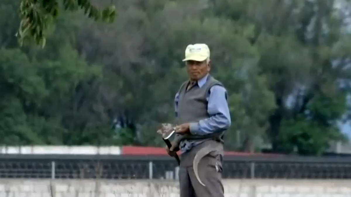 Puebla. Agricultores temen más daños por socavón