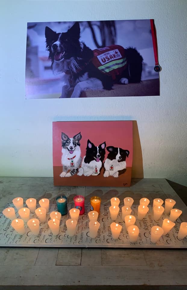 Convocan a marcha tras muerte de Athos y Tango (Estrella Álvarez)