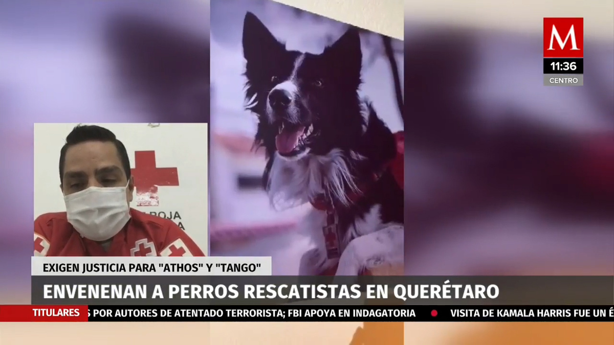 Las investigaciones siguen en curso: Coordinador Cruz Roja Mexicana