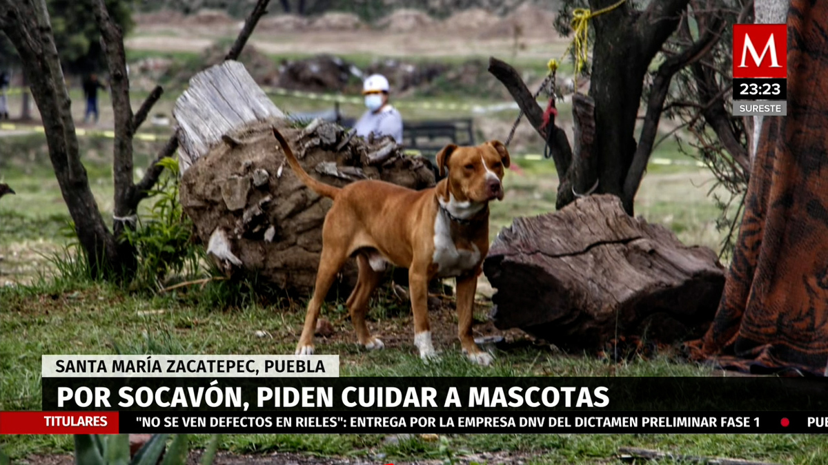 Por socavón, gobierno pide a pobladores de Zacatepec cuidar a sus mascotas