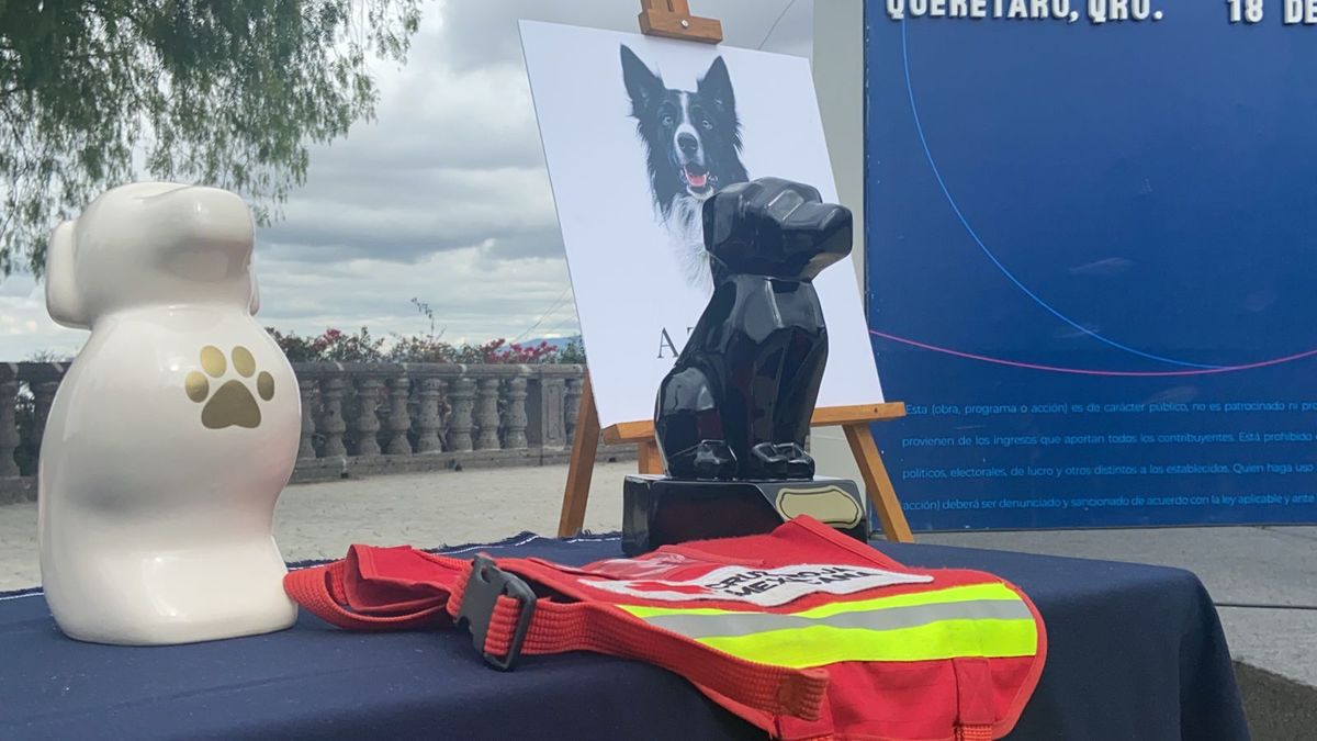 Homenaje a Athos y Tango, perritos rescatistas de la Cruz Roja (Especial)