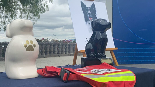 Rinden homenaje a perritos rescatistas asesinados