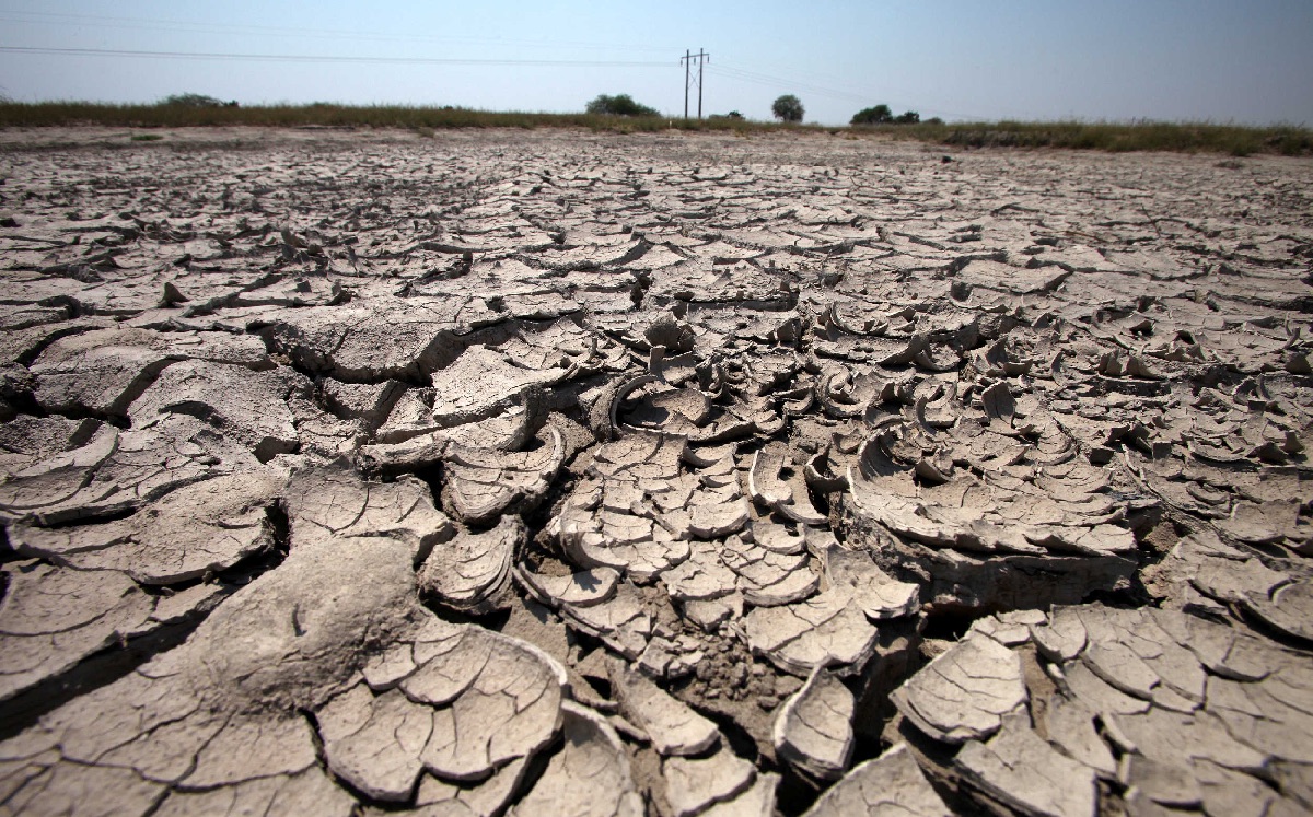 Lass condiciones meteorológicas, como la sequía, tienden a contribuir en incendios más explosivos. (Tonatiuh Figueroa)