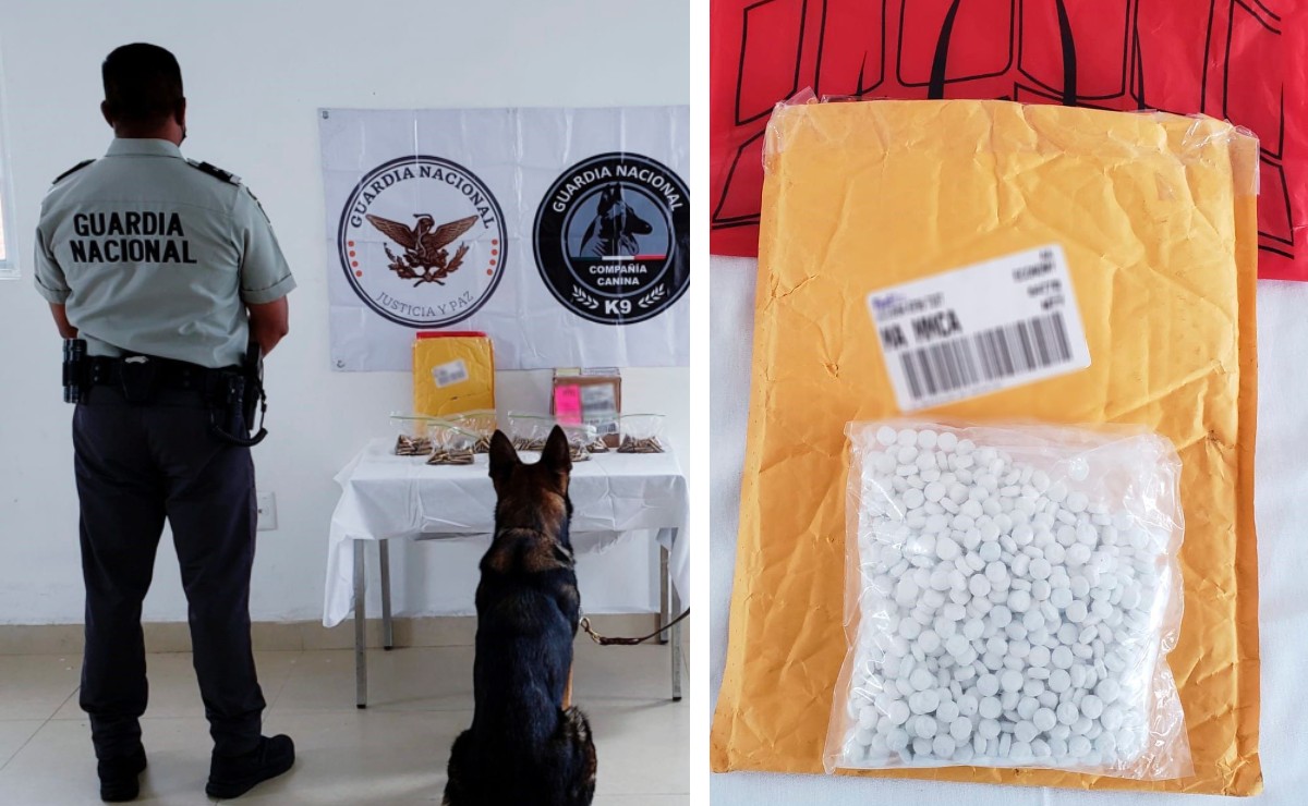 La presunta droga fue encontrada con apoyo de un binomio canino. (Especial)