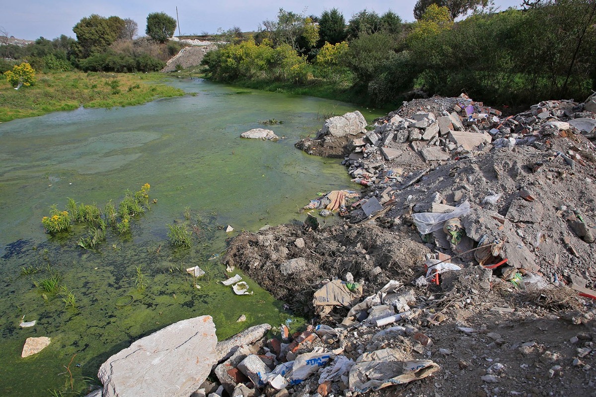 Aspecto de un remanso en el río Alseseca. (Andrés Lobato)