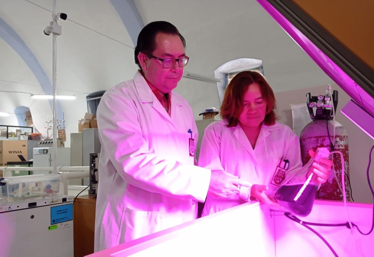 Los investigadores buscan ayudar al fortalecimiento del sistema inmune | Especial