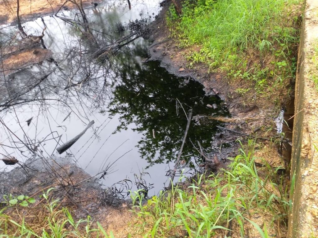 El petróleo ha contaminados partes del lago, por lo que la población quiere buscar una solución. (Isabel Zamudio)
