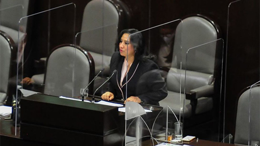 Piden investigar irregularidades de Irma Eréndira Sandoval