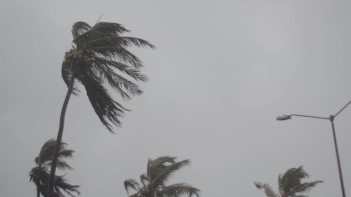 Tormenta tropical 'Dolores' deja daños en Colima