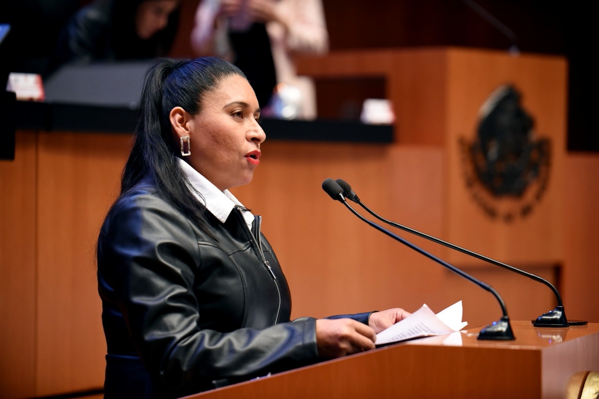 Ana Lilia Rivera, senadora de Morena. (Morena)