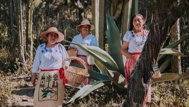 Cocineras tradicionales de Santiago de Anaya. (Cortesía)
