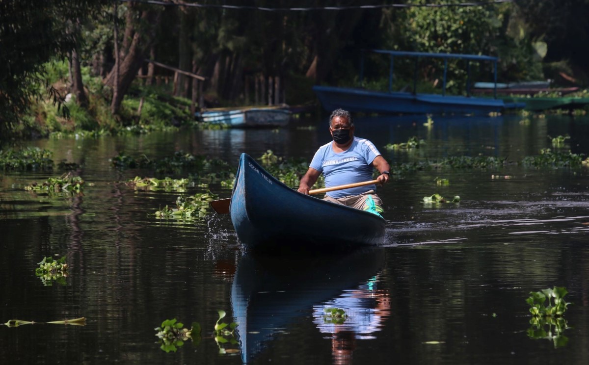 El Congreso de CdMx aprobó el exhorto para llamar patrimonio a las chinampas. | Cuartoscuro